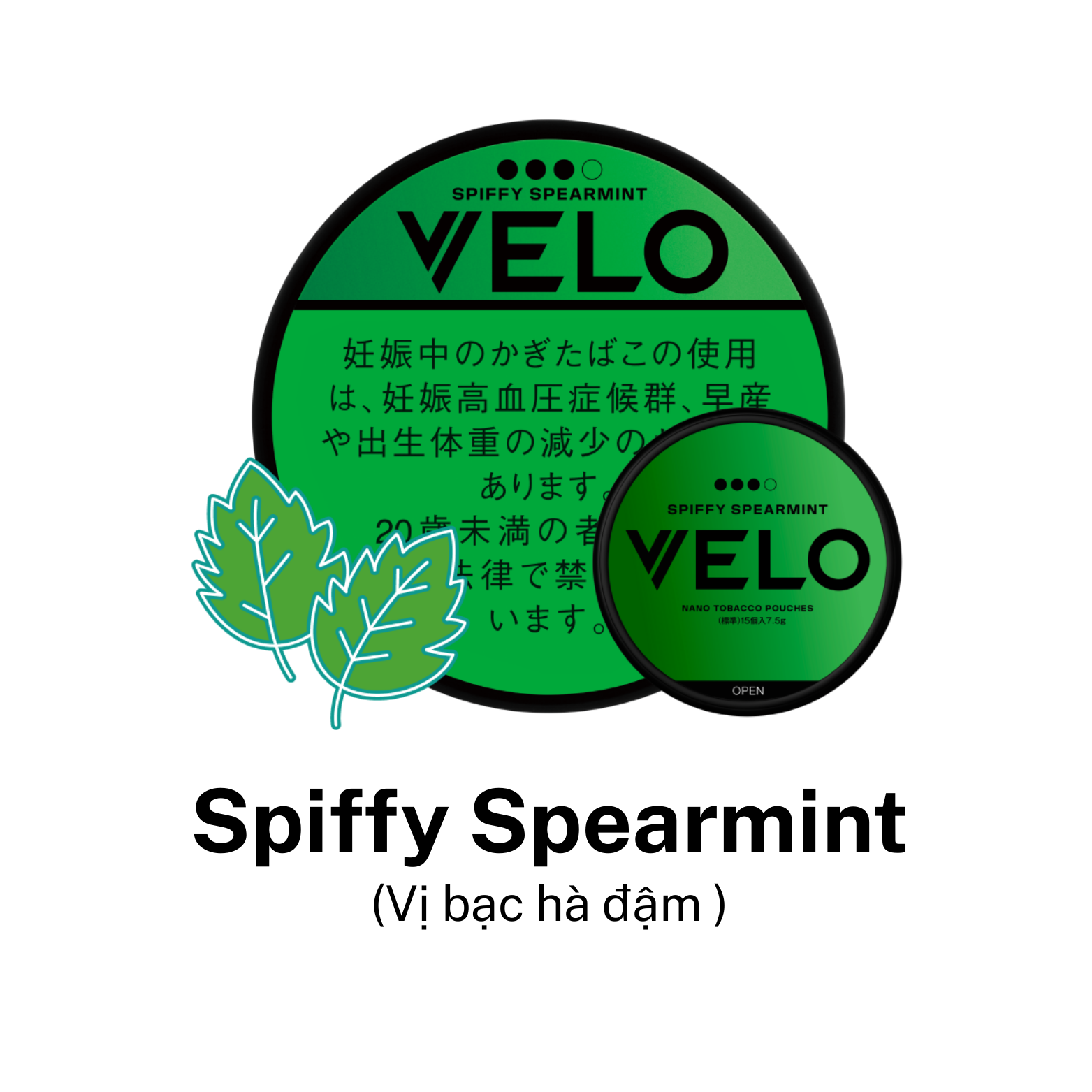velo-spiffy-spearmint (2) VELO Spiffy Spearmint vị bạc hà đậm