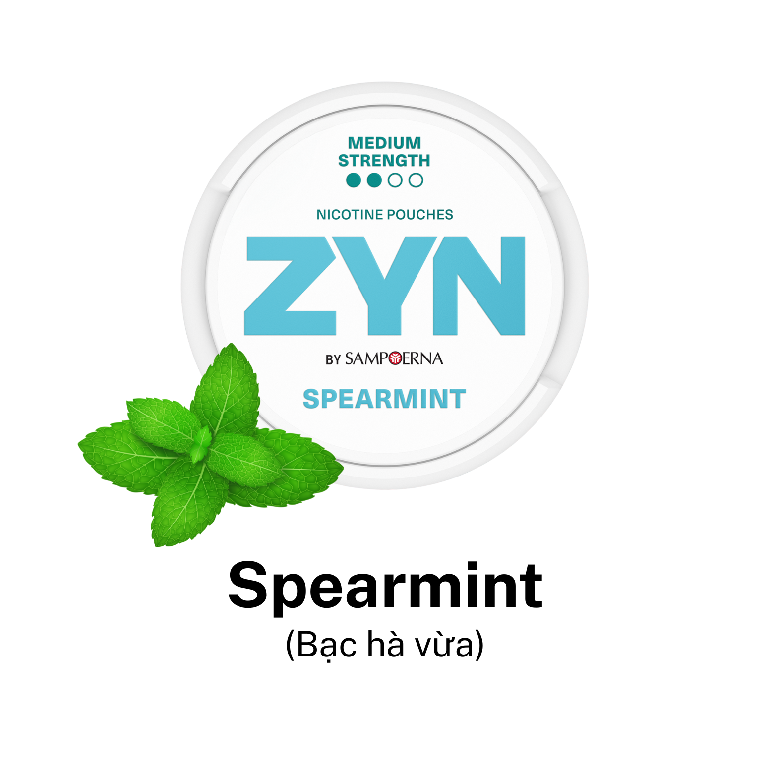 zyn-spearmint-medium